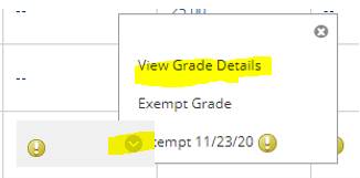 View Grade Details